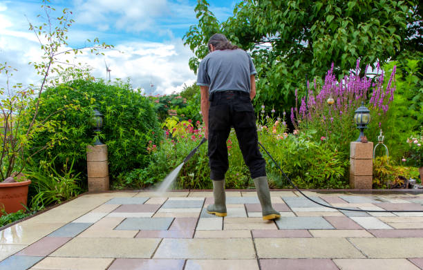 Professional Pressure Washing Services in Tiptonville, TN
